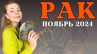 РАК ноябрь 2024: расклад таро Анны Ефремовой