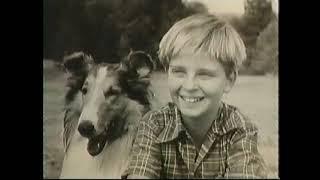 Salute to Lassie--June Lockhart, Jon Provost, Tommy Rettig, 1994 TV