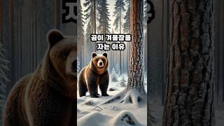 곰이 겨울잠을 자는 이유  #동물상식#자연탐구#shorts