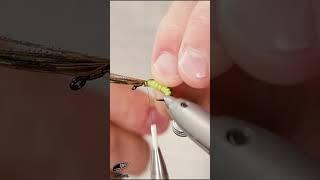 Super EFFECTIVE caddis pupa pattern in 60 seconds! Fly tying tutorial. Fly tying for beginners.