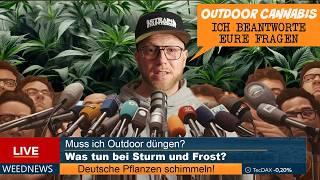 Outdoor Anbau Q&A - Eure Fragen beantwortet – Keine Angst vor Schimmel & Co! *