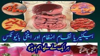 Bacteria in digestion in Urdu Science Biology