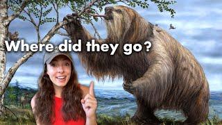 How Did Pleistocene Megafauna Go Extinct? GEO GIRL