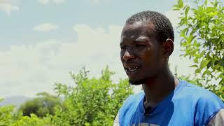 LEMON OASIS: CULTIVATING SUSTAINABILITY IN KERIO VALLEY'S LIME (HYBRID ) LEMON FARMING