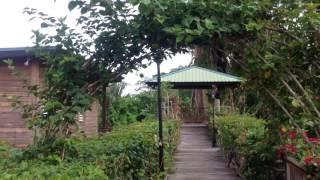 walk with me to my room at dream valley resort Belize