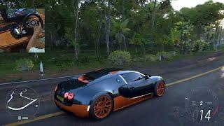 FORZA HORIZON 5 BUGATTI VEYRON SNOPY V5H STEERING WHEEL