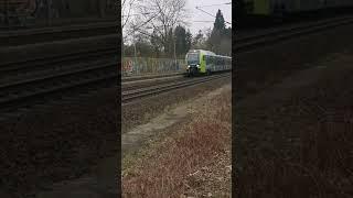 FLIRT 3 der nordbahn fährt schnell durch Prisdorf mit Makrofon #trainspotting #züge #nahverkehr