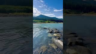 Hoh River  Olympic National Park ️ Most Beautiful Places in the World