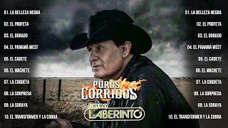 1 Hora De Puros Corridos De Caballos De Grupo Laberinto - Corridos Exitos Mix Lo Mejor de Lo Mejor