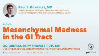 Mesenchymal madness in the GI tract - Dr. Gonzalez (BIDMC) #GIPATH