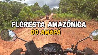 EP-43 ATRAVESSAMOS a Maior Floresta do Amapá, BR 156 sentido Oiapoque