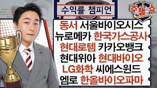 뉴로메카,서울바이오시스,동서,한국가스공사,현대로템,카카오뱅크,현대위아,엠로,현대바이오,LG화학,씨에스윈드,한올바이오파마,한국항공우주_주식 챔피언 쇼 (20241029)