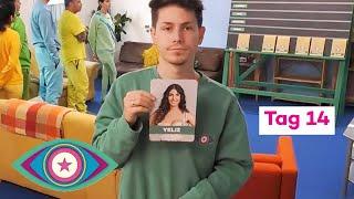 Tag 14 in 5 Minuten: Halbfinale! Wer treibt ein falsches Spiel? | Promi Big Brother 2023 | SAT.1