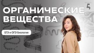 САМЫЙ ДЕТАЛЬНЫЙ РАЗБОР ТЕМЫ: органические вещества в ОГЭ и ЕГЭ по Биологии