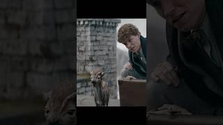 Qilin EXPOSES Grindelwald’s LIE!  Dumbledore Chosen by Magic | Secrets of Dumbledore Ending
