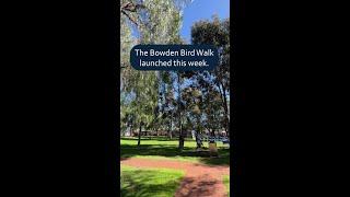 Bowden Bird Walk Trail #Shorts