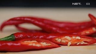 Wonderfood Episode 15 :  Percaya Gak Biji Cabe Penyebab Usus Buntu