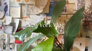 NYC Vlog | Special times in a long distance relationship, exploring the city, new food spots