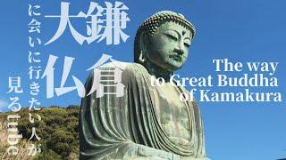 鎌倉の大仏へご案内【行き方/アクセス/長谷駅/江ノ電】The way to Great Buddha of KamakuraJAPAN Travel.KAMAKURA.鎌倉観光