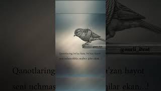hayotiy soʻzlar #instagram #topvideo #shorts #AQSh #words #uzbekistan #assalomuz #america #video