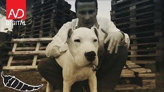 Lyrical Son -Tabullarasa (Official Video)