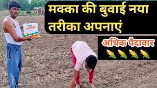 मक्का की बुवाई कैसे करें ||  मक्का की खेती | Hybrid Makka ki Kheti  ||  Maize cultivation