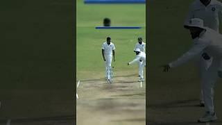 Most funniest run out in cricket history 