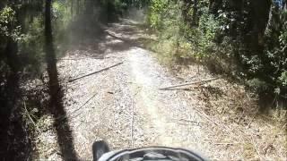 Big red belly black snake tries to attack motorbike riders