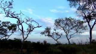 ATARDEDER NUBES ROJAS