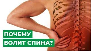 Почему болит спина?