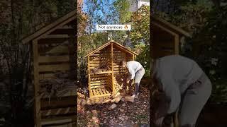 DIY Firewood Storage Shed | Sunjoy Firewood Rack Build #shorts #firewood #diyprojects #backyard #diy