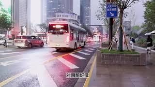 上海有71路公交车占用两车道，市区限外牌堵车，可咋整？