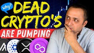  XRP , ADA & ALGO Among Others PUMP in 2024 - Here Is Why The DEAD Crypto's Are PUMPING | Altcoins