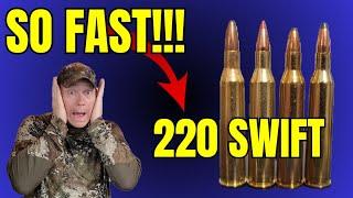 220 SWIFT is Crazy Fast!!!