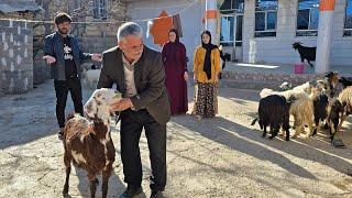 The grandfather wants to sell his sheep for a divorce and Elham's dowry.