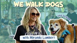 Miranda Lambert and her "Comfort Retriever" Bellamy | WeWalkDogs