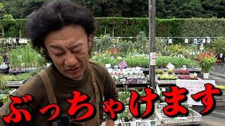 【秋冬植物】入荷ラッシュも実は・・・【カーメン君】【園芸】【ガーデニング】