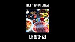 #shorts 강릉 사근진해변에서 나홀로 대방어회 크으