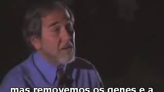 A Biologia da Crença - Bruce Lipton Legendado em Portugues