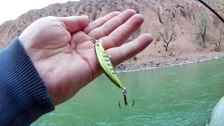 Рыбалка на Форель в Кыргызстане 2020 году. Trout fishing in Kyrgyzstan. Рыбалка в Кыргызстане.