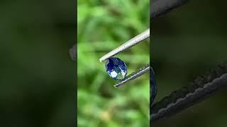 Blue Sapphire Ceylon 0.4 ct Natural Loose Gemstone.