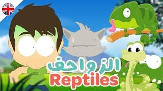 Learn Reptile Names in English | Reptiles for kids - Learn English with Zakaria