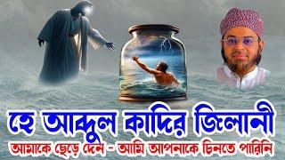 হে আব্দুল কাদির জিলানী আমাকে ছেড়ে দেন -  মুফতি নাসির উদ্দিন আনসারী। মুফতি নাসির উদ্দিন। bd waz