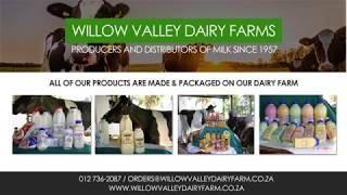 Willow Valley Dairy Farm