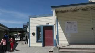 Hog Island Oyster in Marshall, California