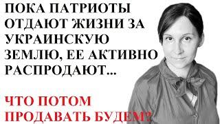 ПРОДАЖА ЗЕМЛИ НЕДОРОГО, ПОКА ИДЕТ ВОЙНА В УКРАИНЕ