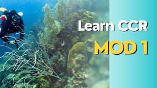 **Learn CCR** Your first step in rebreather diving!