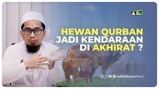 Hewan Qurban Jadi Kendaraan di Akhirat ?