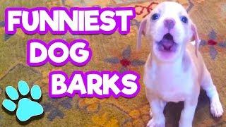 The Funniest Dog Barks You've Ever Heard | Try Not To Laugh | #thatpetlife