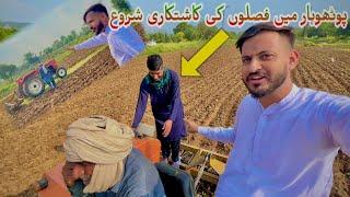 Pothwar Main Faslon Ki Kasht Kari Shoro || Daily Vlog in Pothwari Language || Sir Suba Shah 